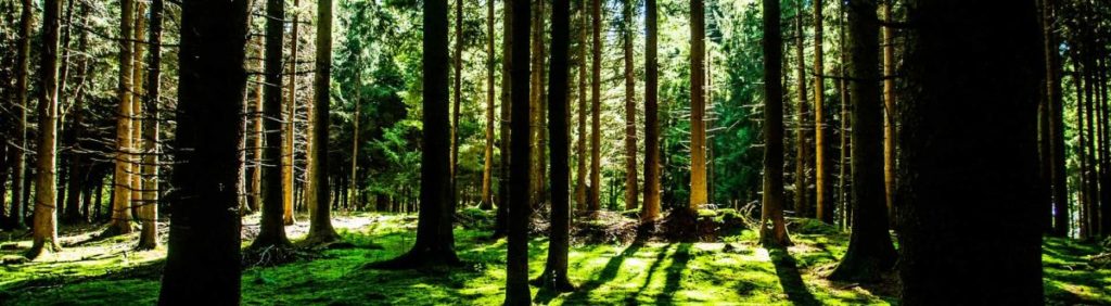 How can green buildings contribute in the fight against COVID-19?