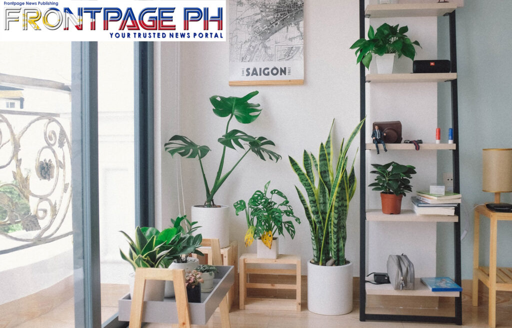 Improve your environment, improve your health